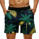 Men's Premium Breathable Solid Pattern Swimwear